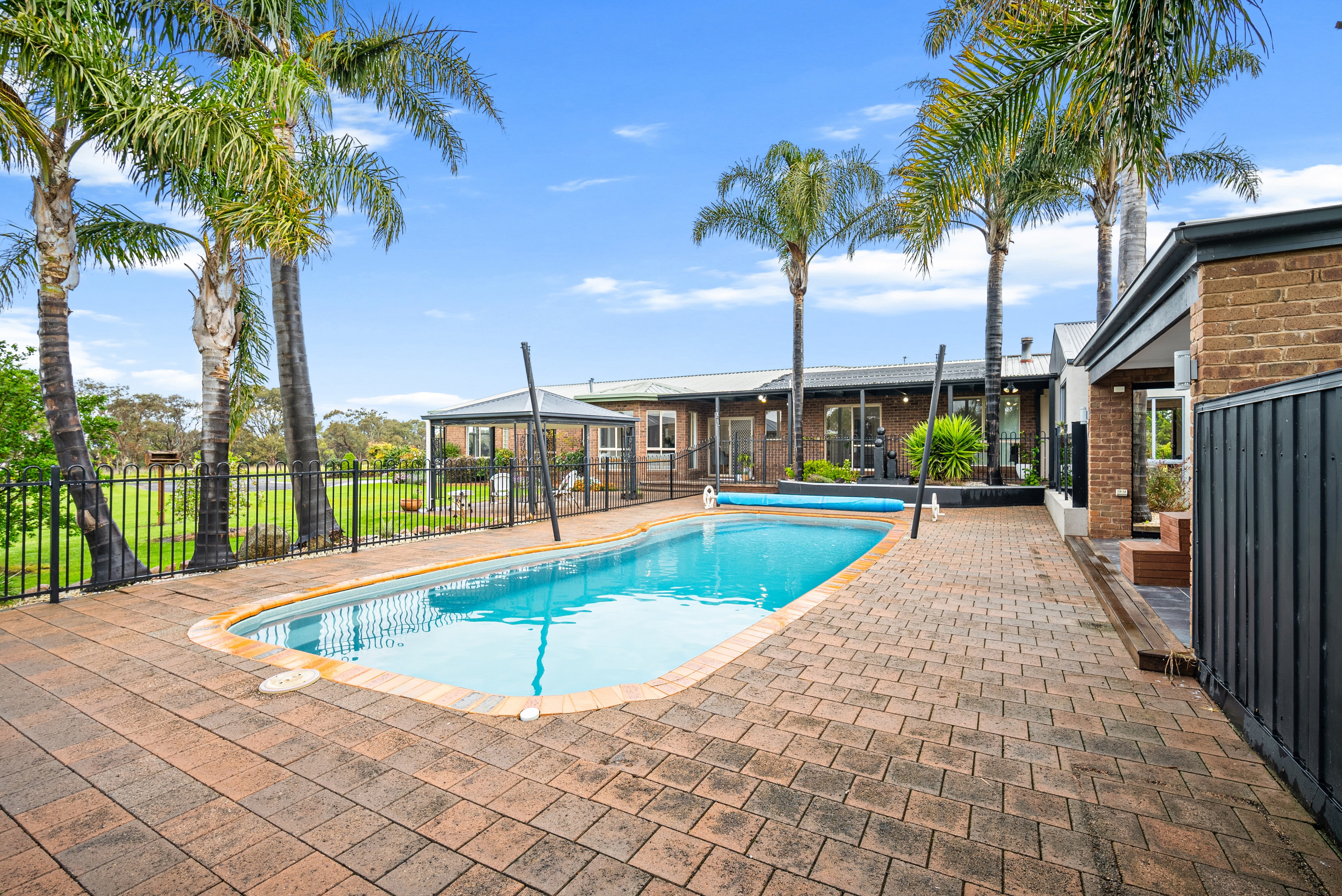 Backyard pool surrounded by palm trees and brick paving